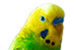 Hello world!