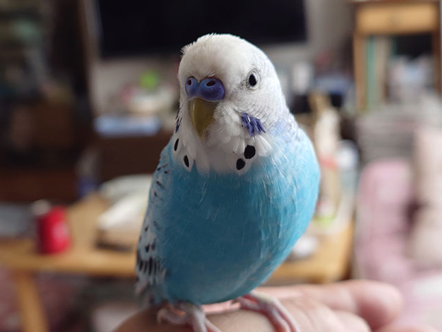 Hello world!